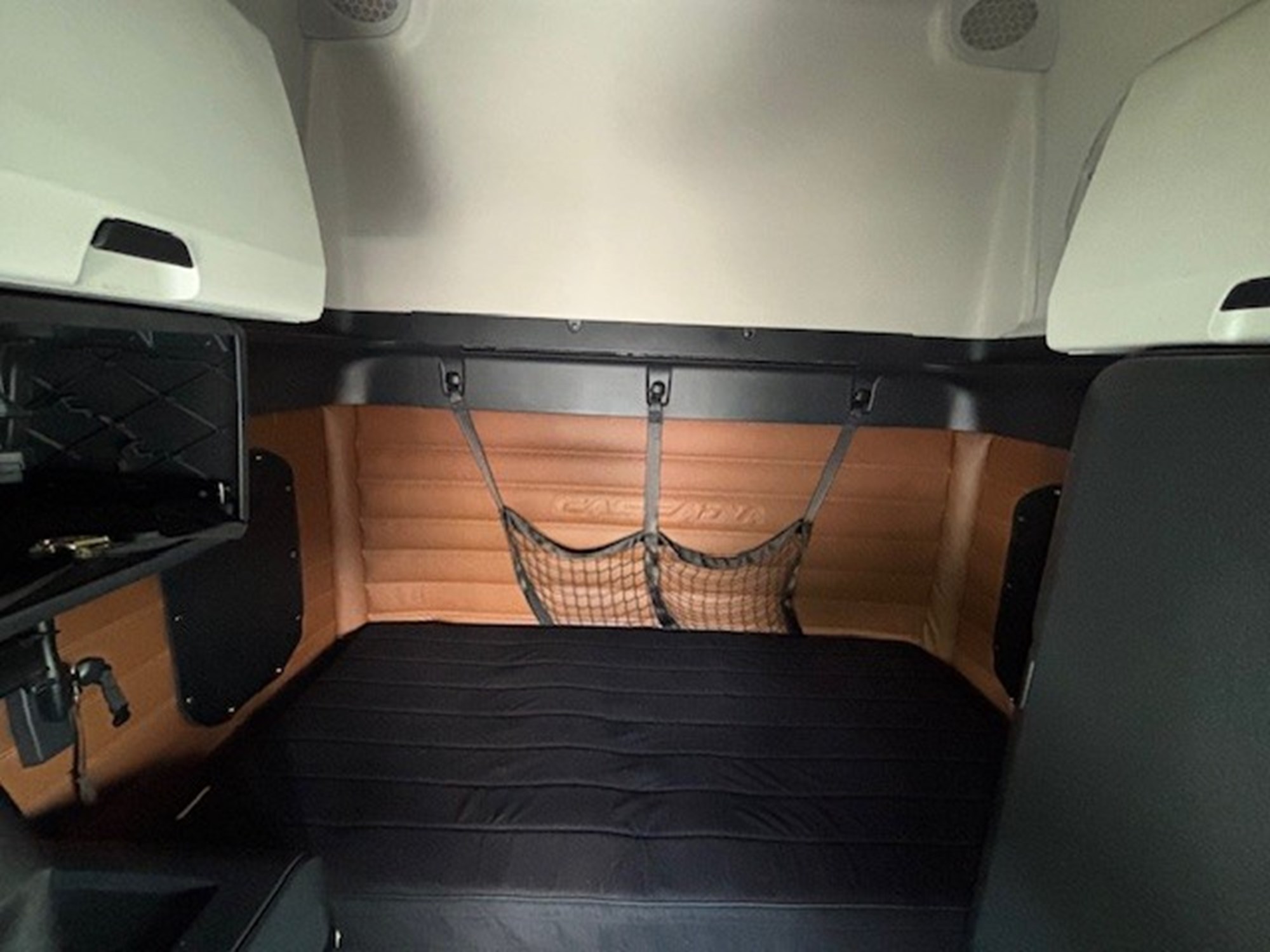 2020 FREIGHTLINER CASCADIA 126 - image 3 of 6