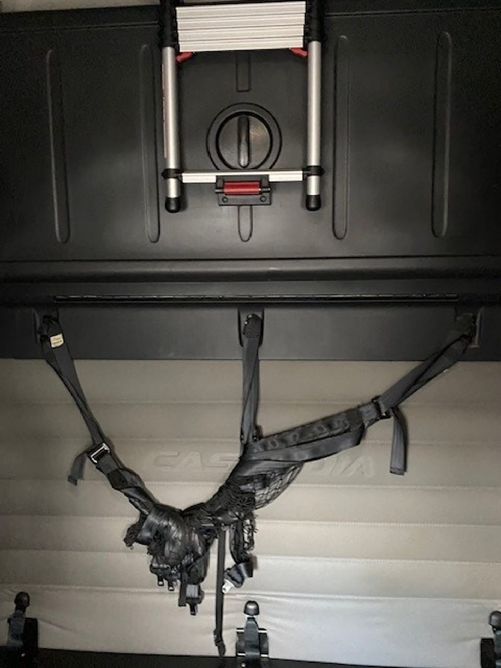 2020 Freightliner Cascadia 126 2020 Freightliner Cascadia 126 - image 3 of 6